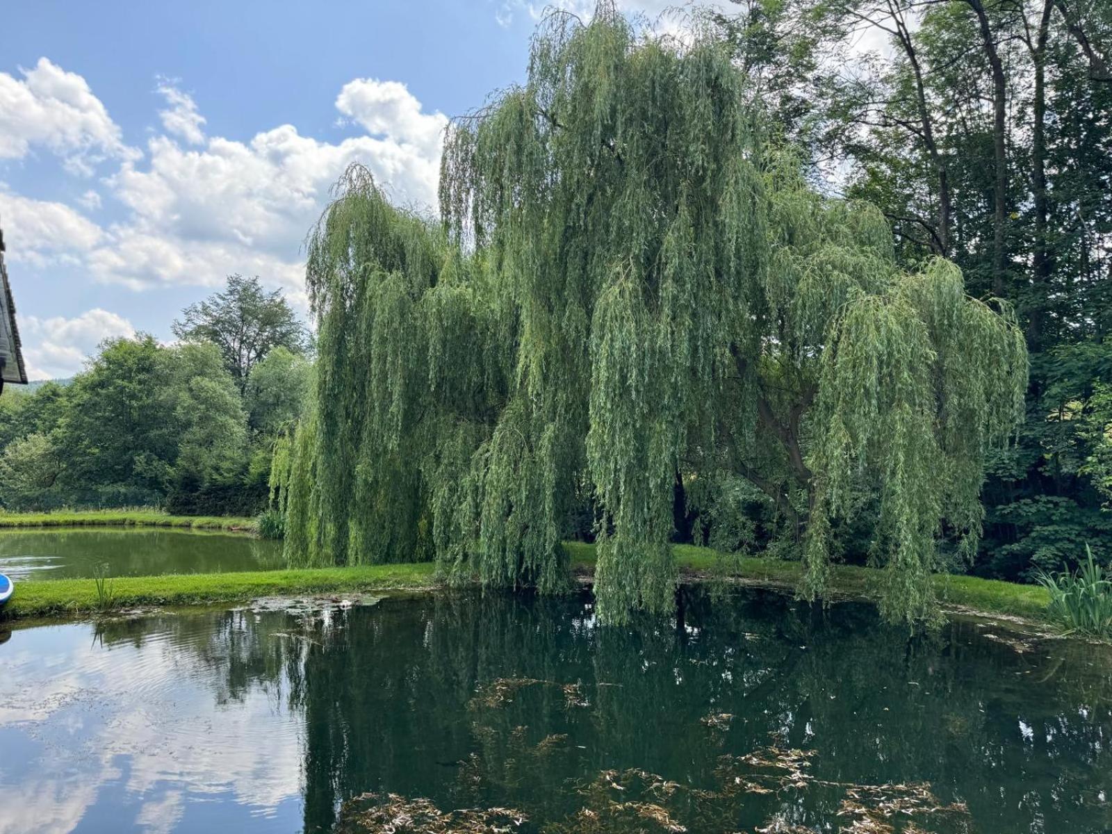 Restauracja I Noclegi Izba Rybacka W Krainie Wygaslych Wulkanow Podgorki Dış mekan fotoğraf